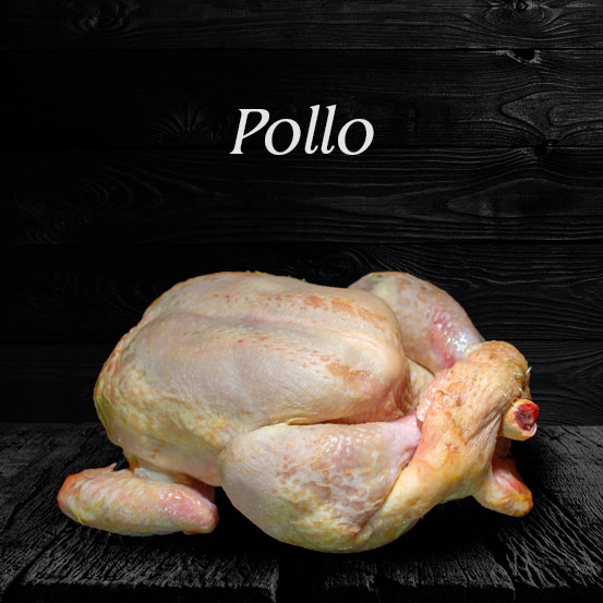 Pollo