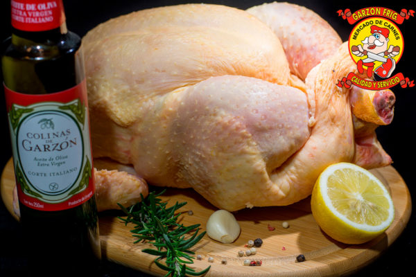 Pollo